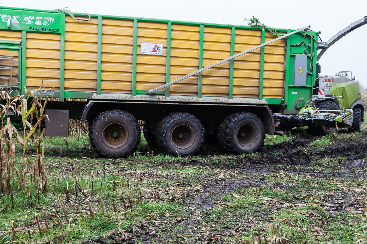 Bild 121 - Biogas am 21.10.12